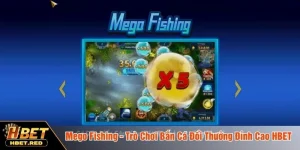 Mego fishing