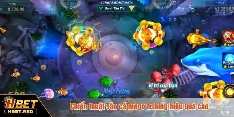 Mẹo tối ưu lợi nhuận khi chơi Mego fishing
