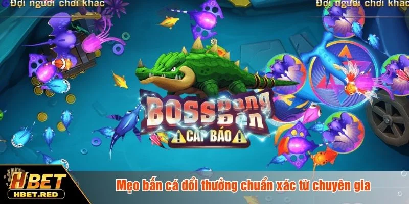 Mỗi bắn cá đổi thưởng đều dựa trên kinh nghiệm thực tế